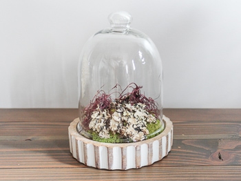 simple faux terrarium home decor