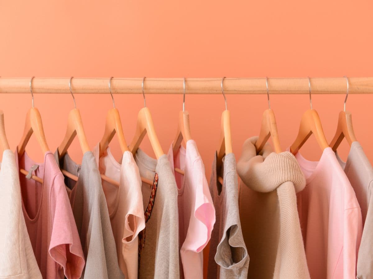 Clothes hanging on a closet rod